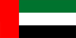 Dubai-Flag